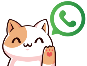 Gatito con icono de whatsapp